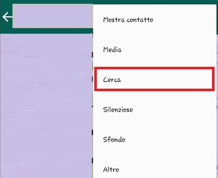 WhatsApp funzione Cerca